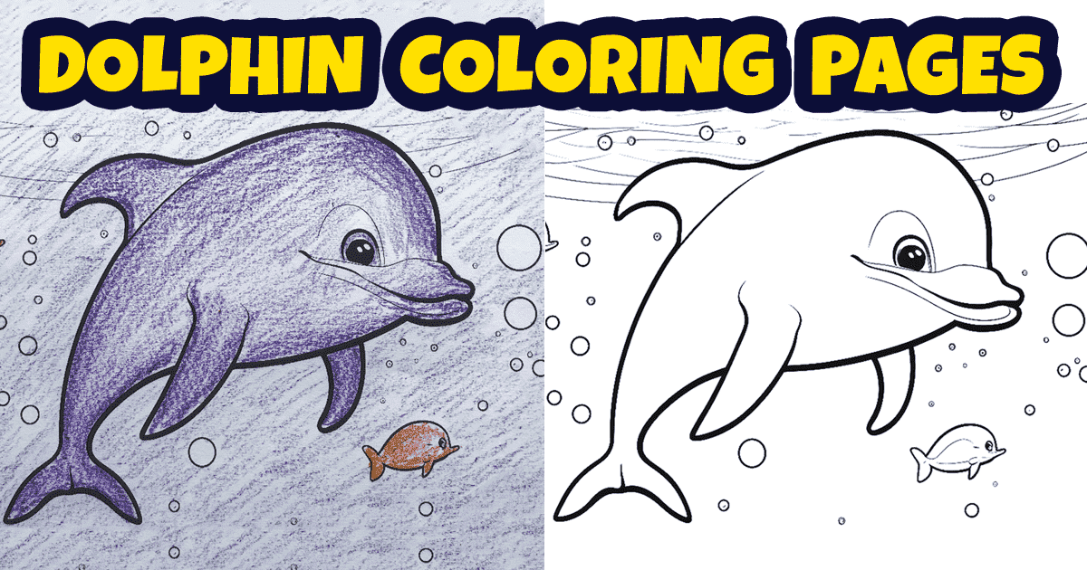 Dolphin coloring pages for kids free pdf downloads