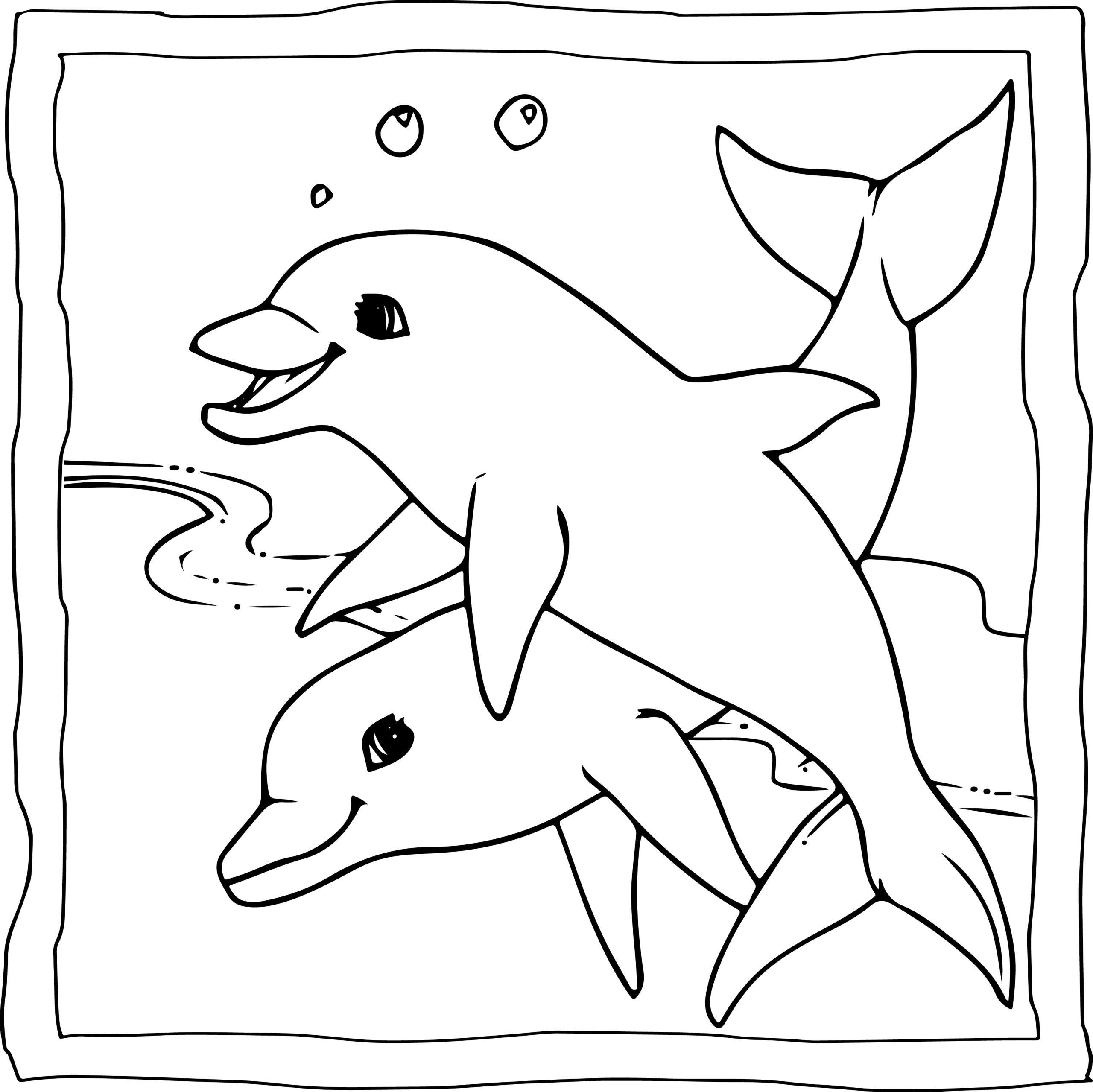 Dolphin coloring book easy and fun dolphins coloring pages for kids made by teachers