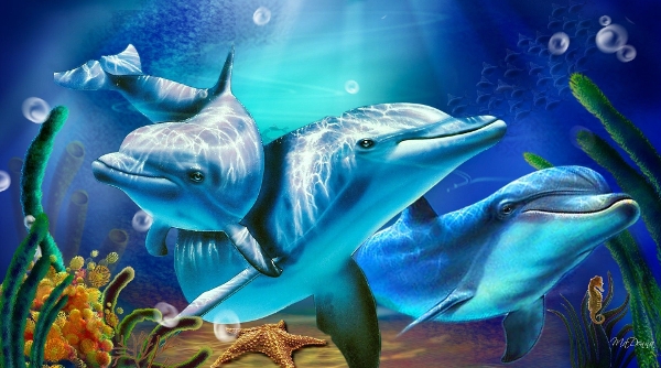 Free best dolphin desktop wallpapers in psd vector eps