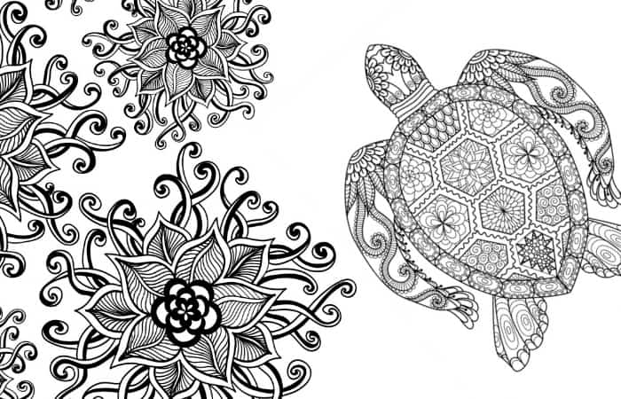 Gorgeous free printable adult coloring pages