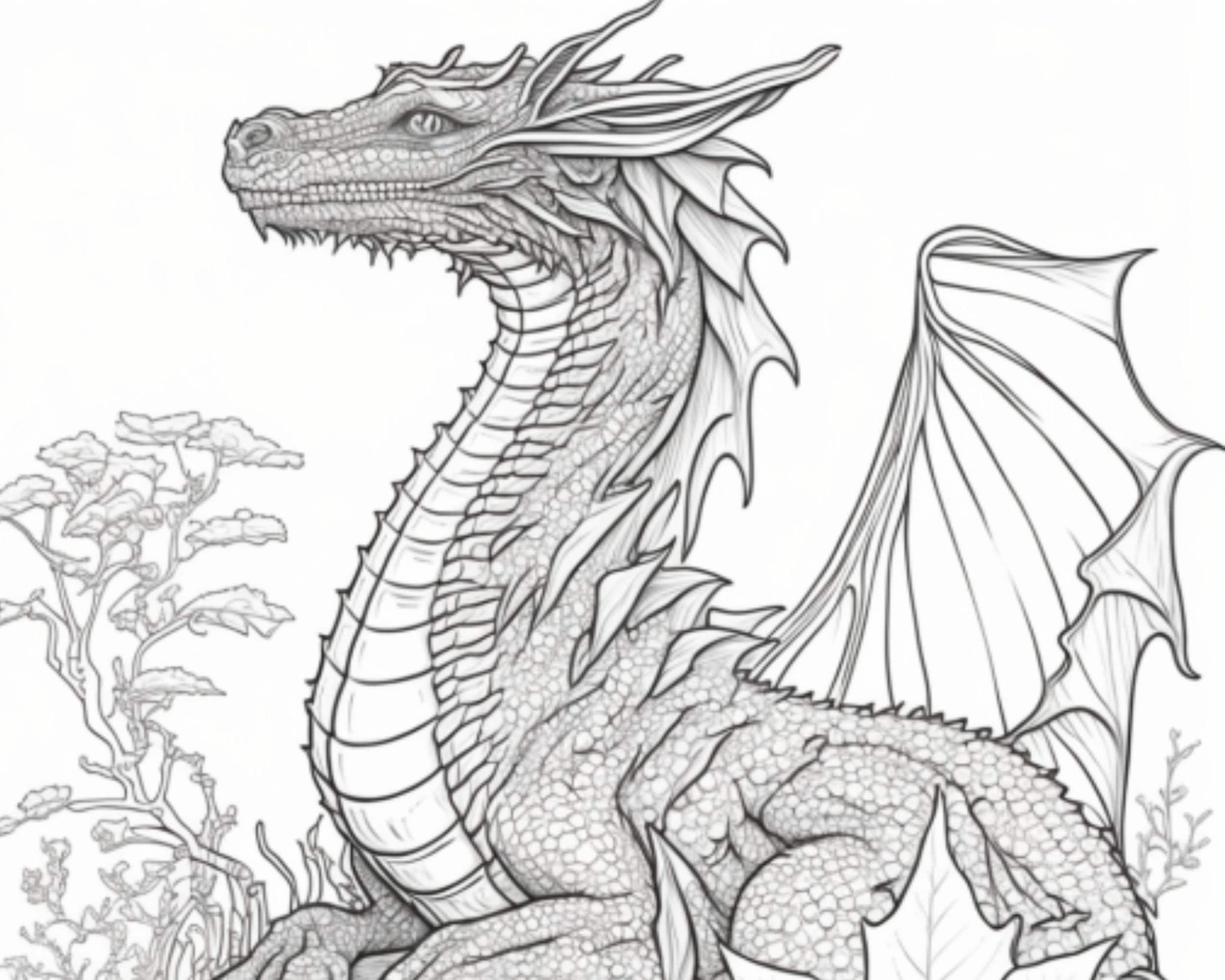 Captivating dragon coloring pages set of printable black white pdf illustrations for adults and kids