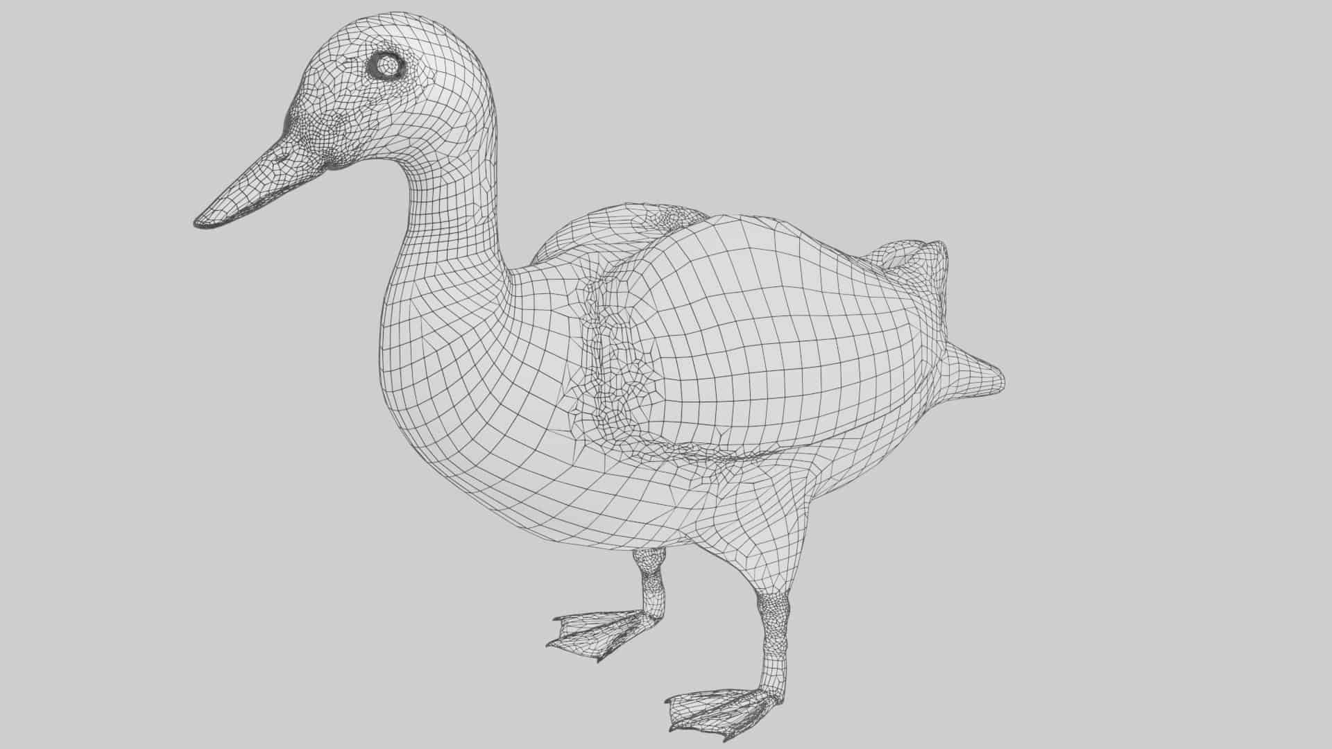 Duck d model rigged and low poly game ready
