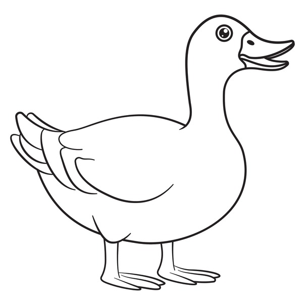 Duck colouring page royalty