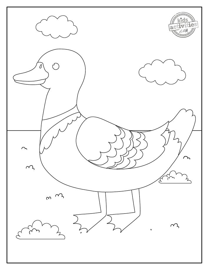 Free printable duckling duck coloring pages coloring pages cool coloring pages mandala coloring