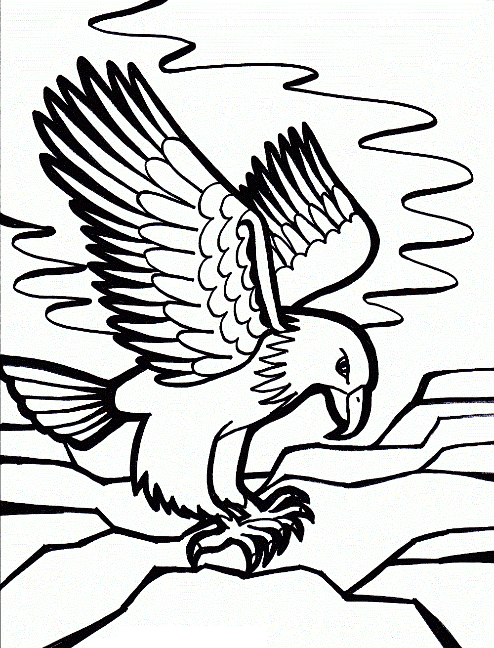 Free printable bald eagle coloring pages for kids bird coloring pages animal coloring pages coloring pages for kids