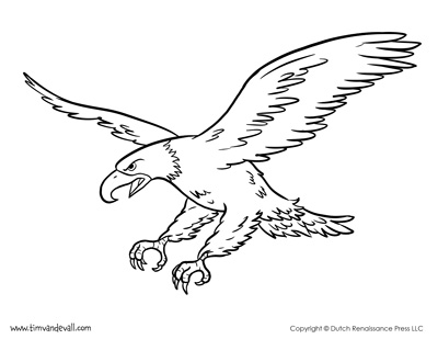 Bald eagle coloring page â tims printables