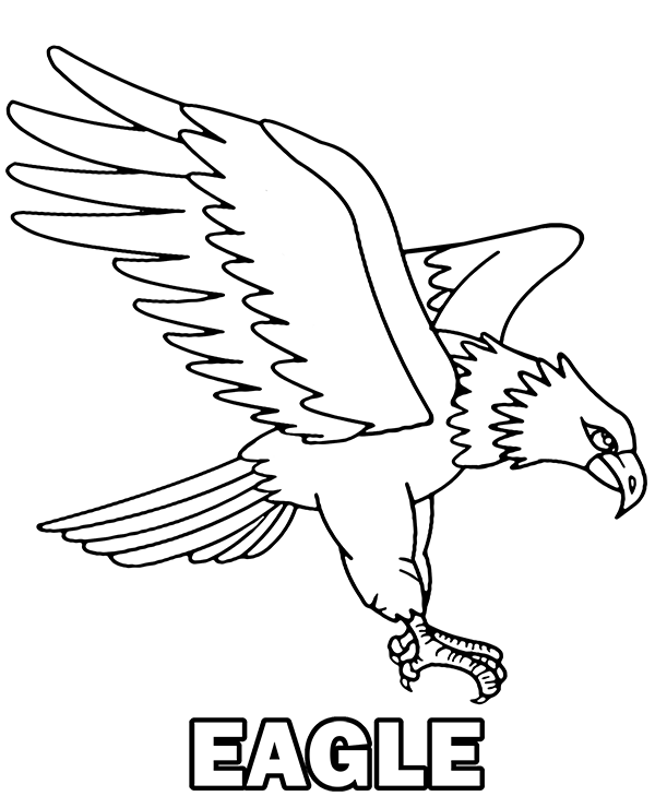 Eagle coloring page to print