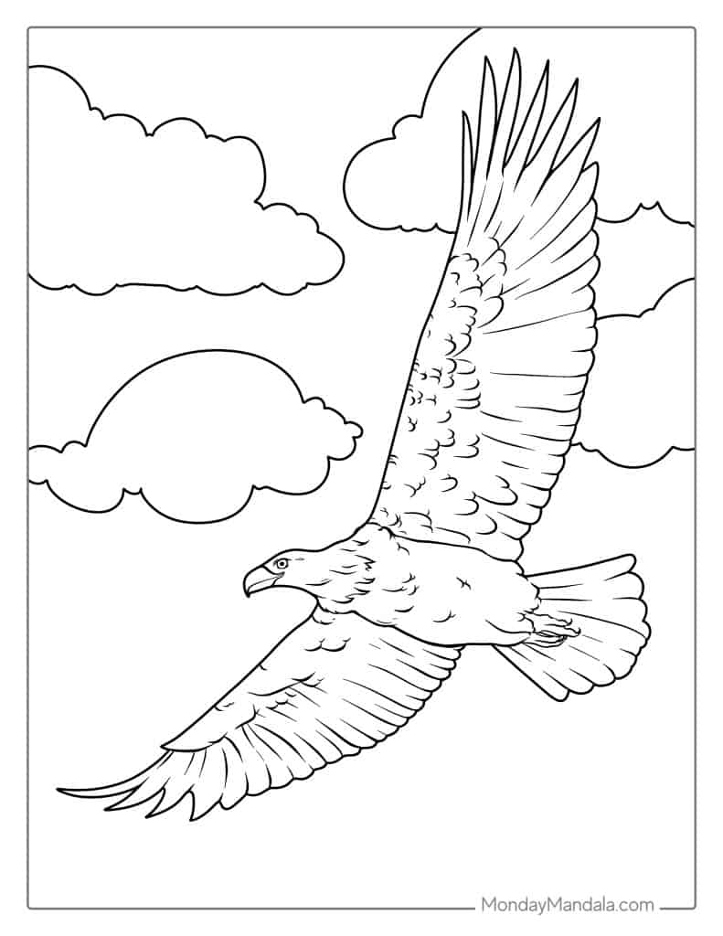 Bald eagle coloring pages free pdf printables