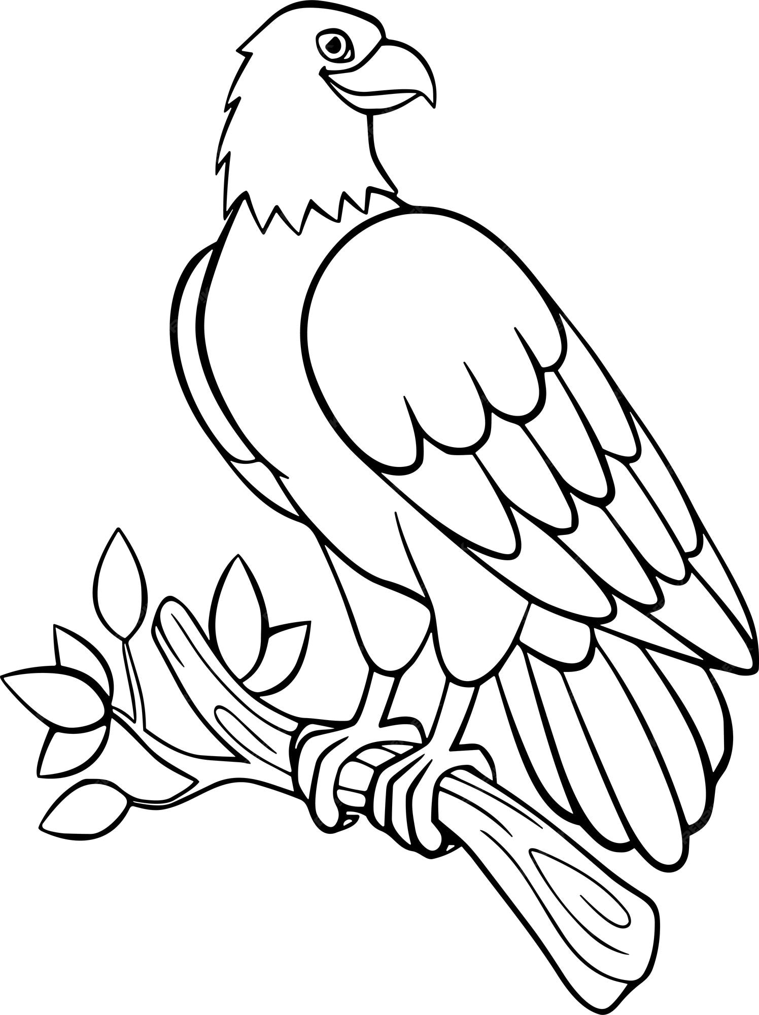 Premium vector eagle coloring page