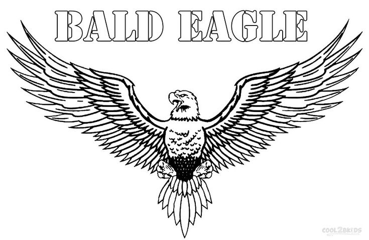 Printable bald eagle coloring pages for kids coolbkids bald eagle coloring pages coloring pages for kids