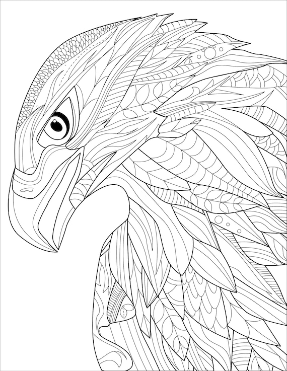 Eagle head digital printable coloring page medium difficulty