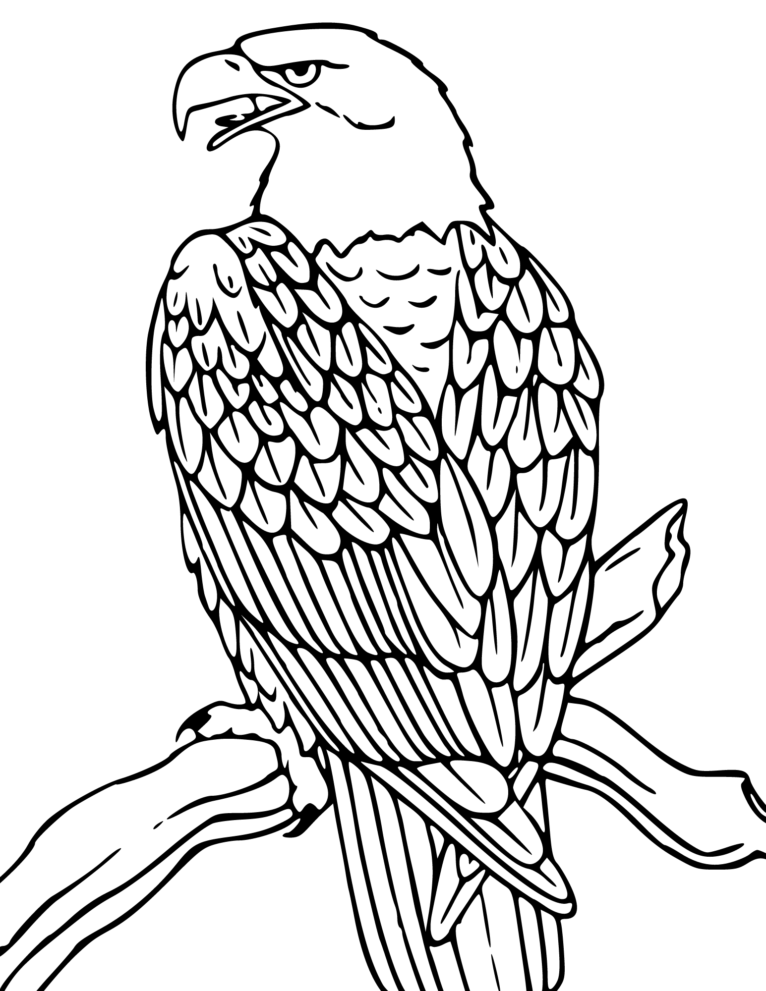 Free bald eagle coloring pages for kids and adults
