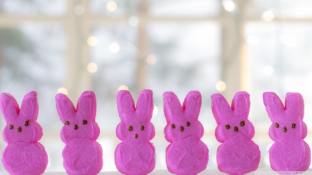 Easter bunnies candy