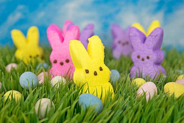 Easter candy stock photos pictures royalty