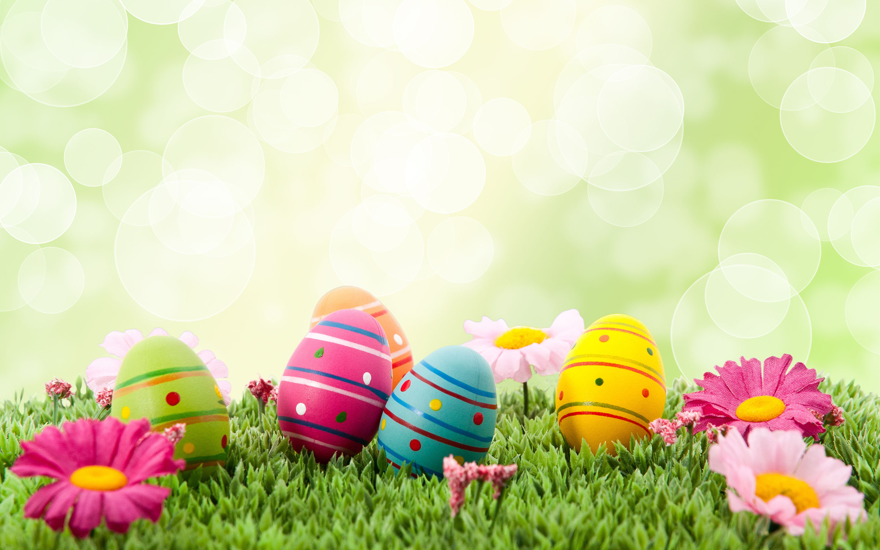 Easter hd papers and backgrounds