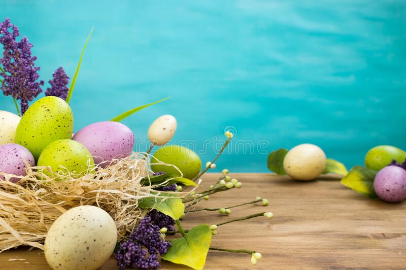 Easter scene with colorful easter eggs in nest and spring flowers on wood stock photo
