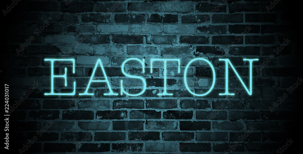First name easton in blue neon on brick wall illustration