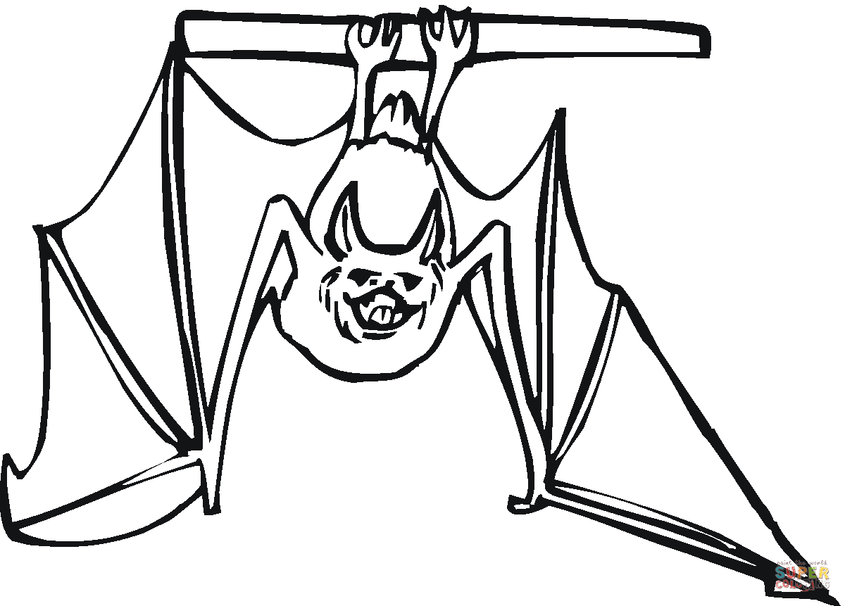 Bat hanging upside down coloring page free printable coloring pages