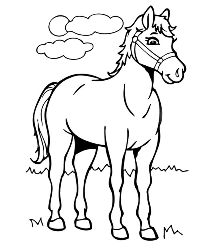 Top free printable horse coloring pages online