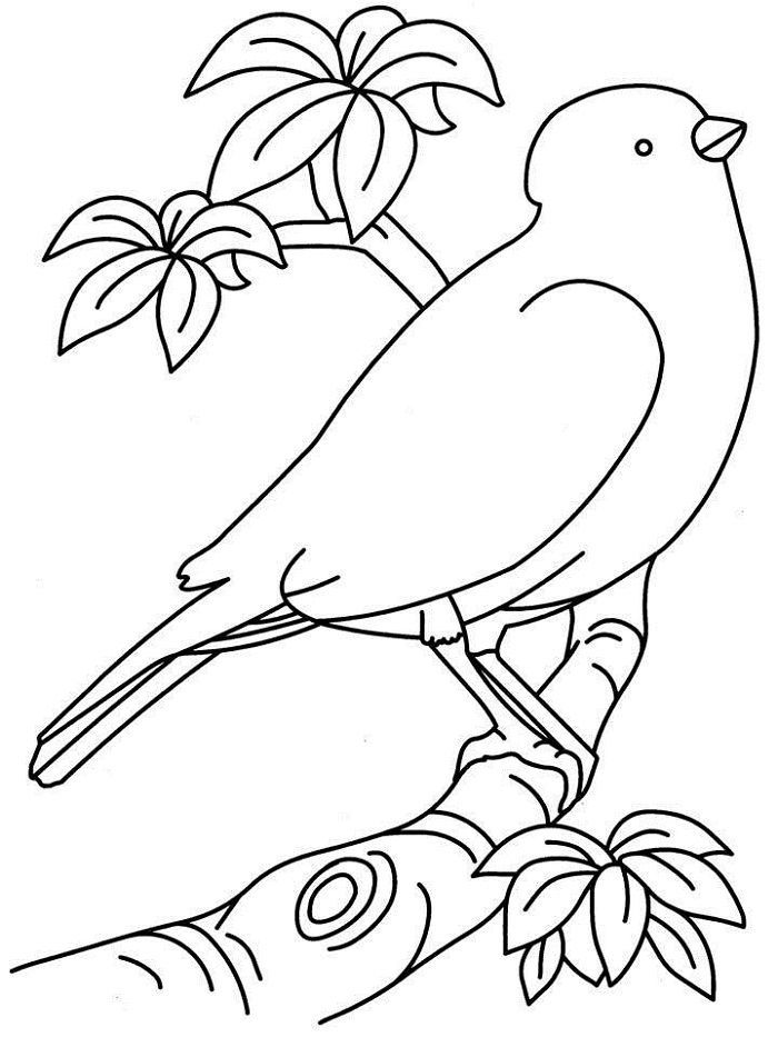 Easy printable coloring pages bird coloring pages coloring pictures for kids easy coloring pages