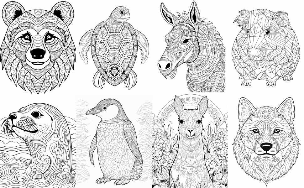 Amazing ecuadorian animals coloring book for adults centeno jose cãrdova bryan enterprises rr books
