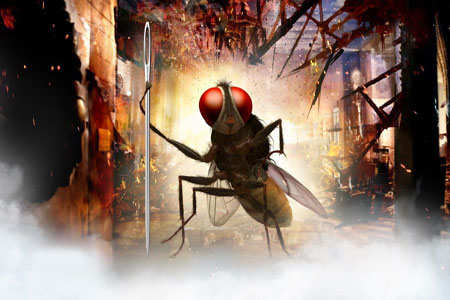 Eega movie review critic review of eega by times of india