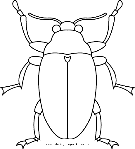 Bug coloring page lecciones de arte arte de insectos escarabajo dibujo