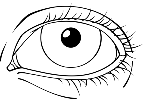 Eye front view coloring page free printable coloring pages