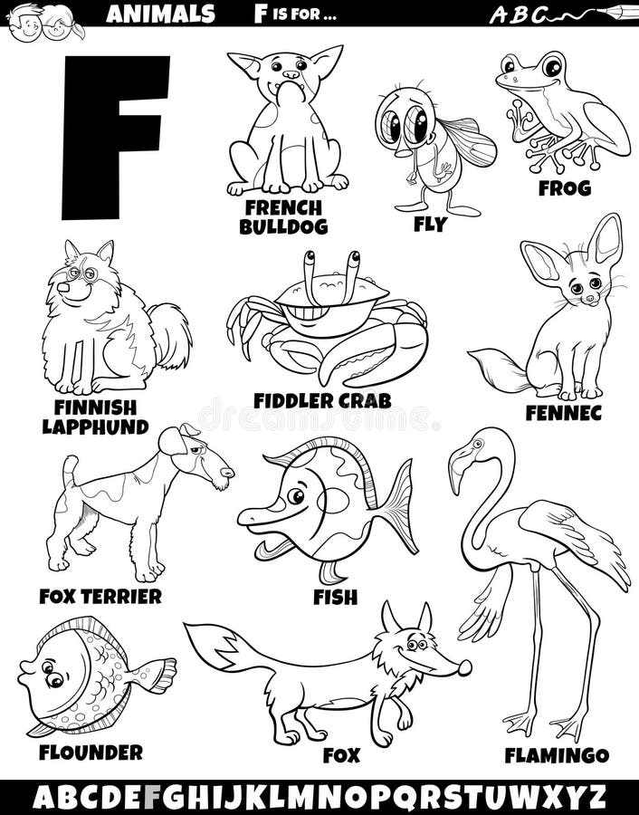 Animal alphabet f coloring page stock illustrations â animal alphabet f coloring page stock illustrations vectors clipart