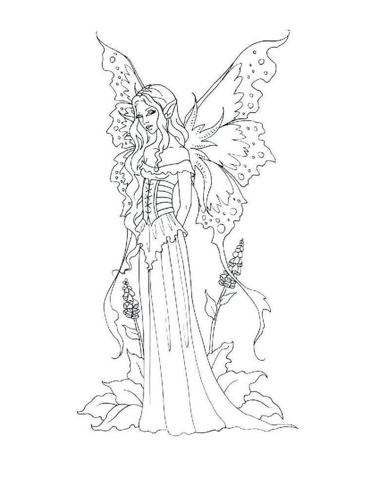 Basic fairy fairy coloring pages princess coloring pages dragon coloring page