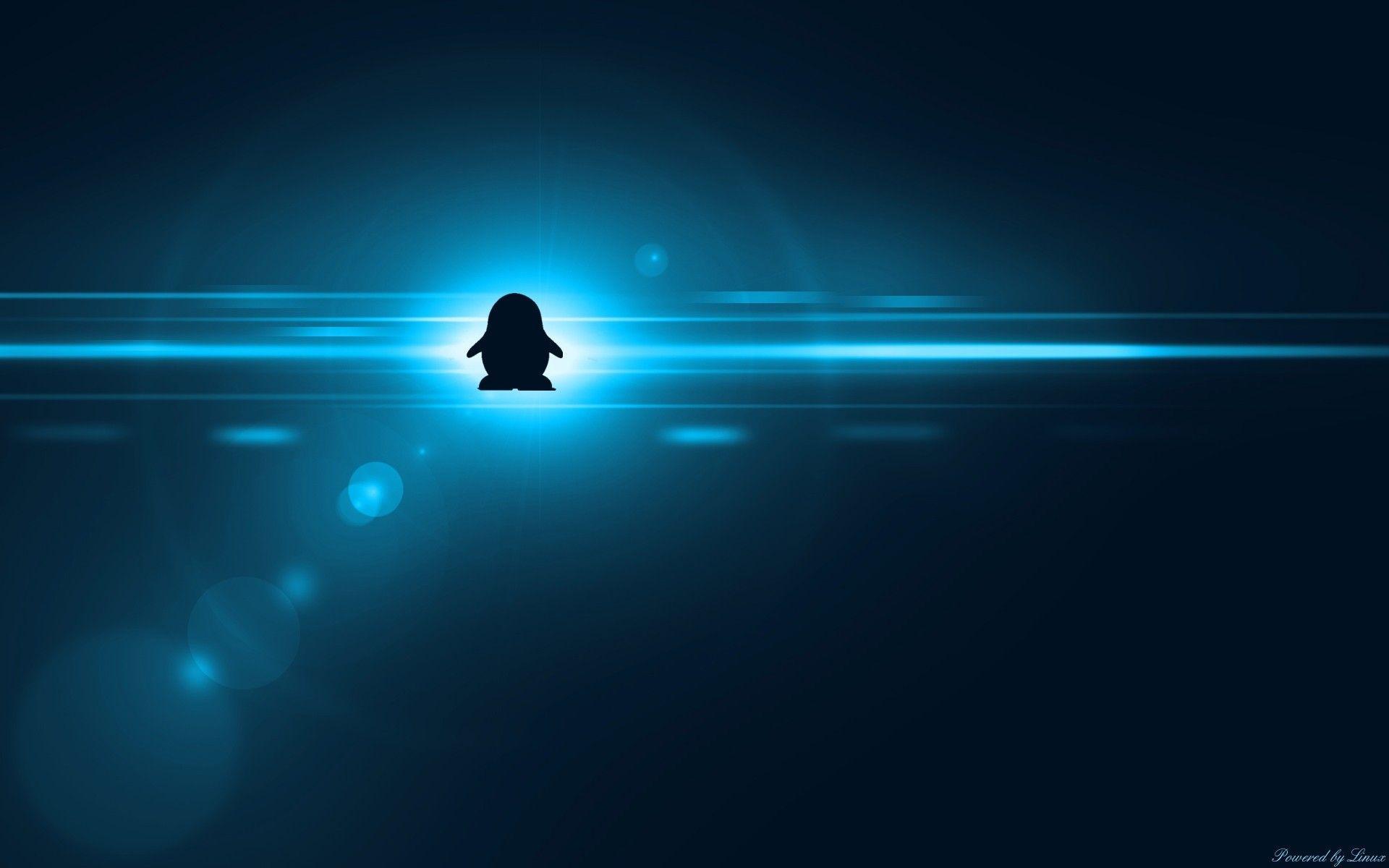 Fedora linux wallpapers