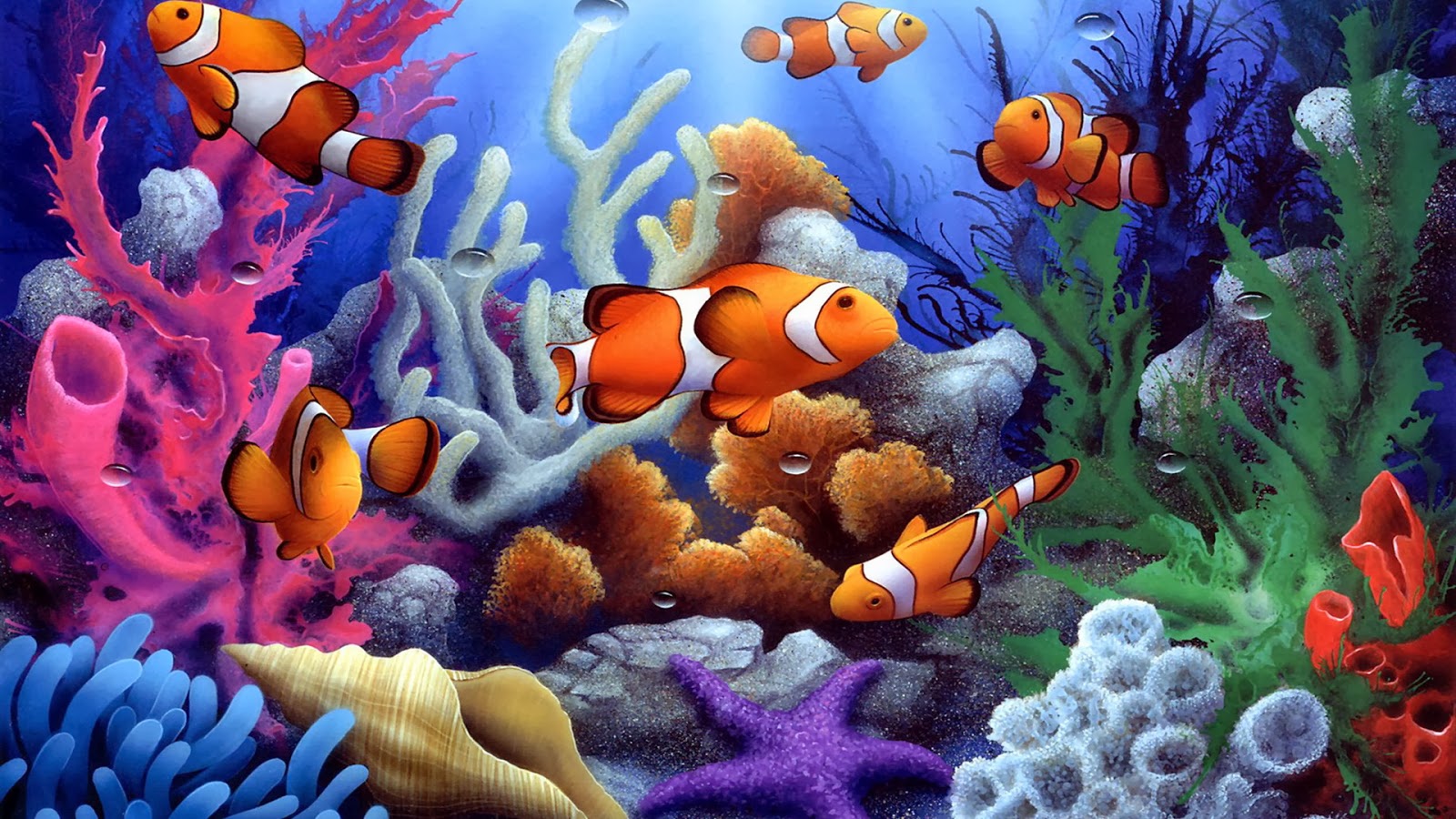 Free fish desktop wallpaper