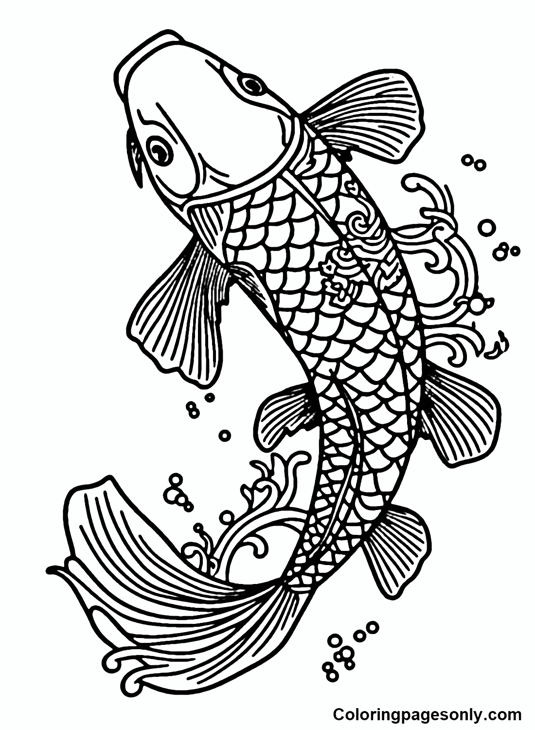 Koi fish coloring pages printable for free download