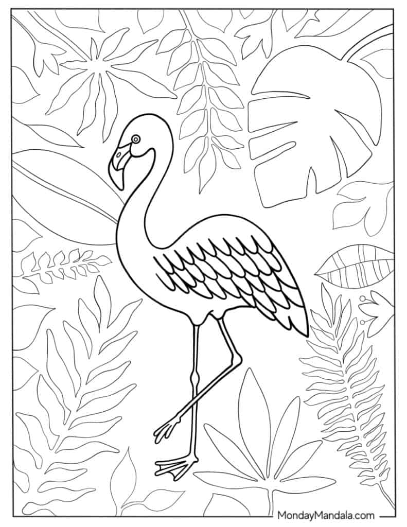 Flamingo coloring pages free pdf printables