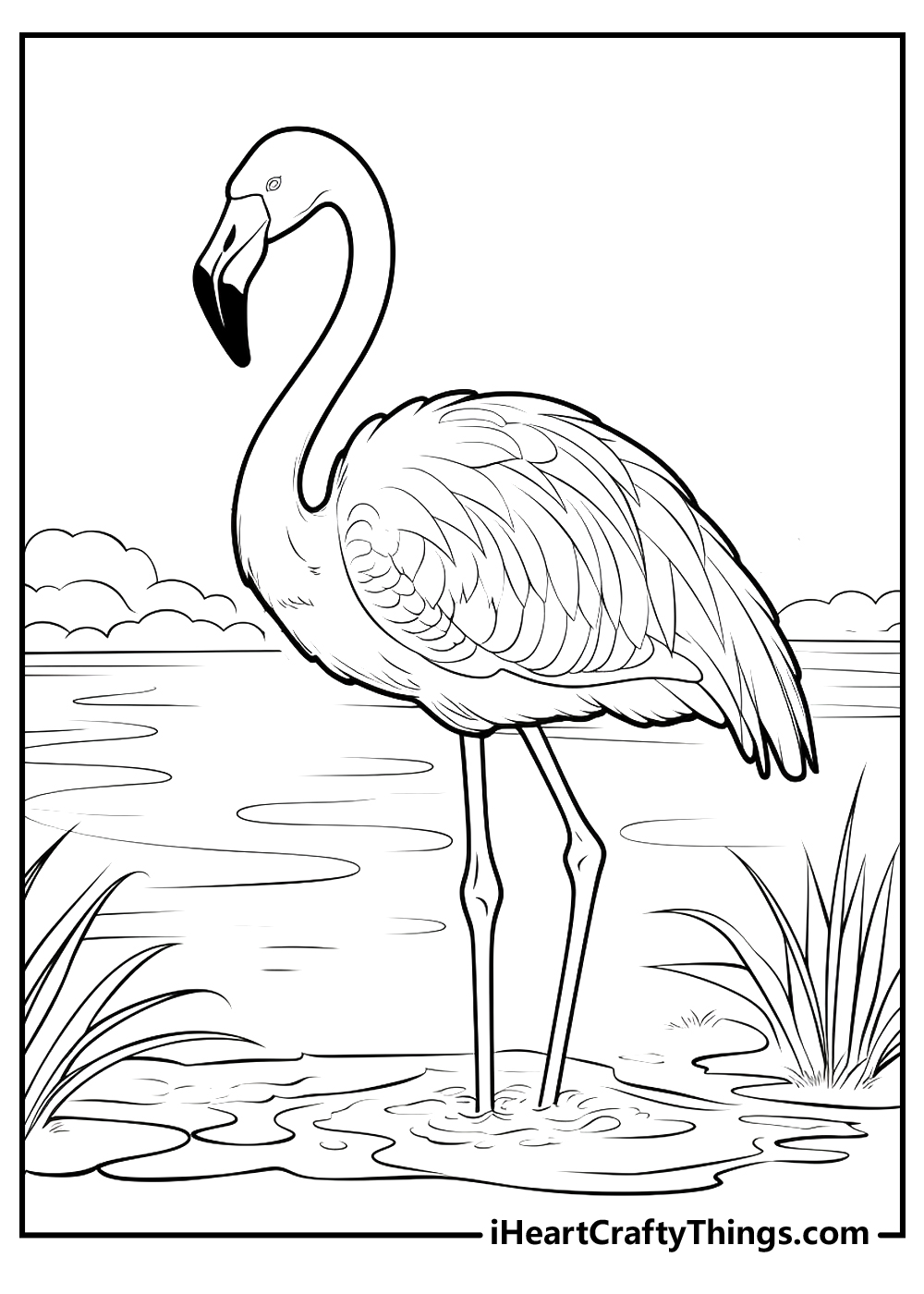 Flamingos coloring pages free printables