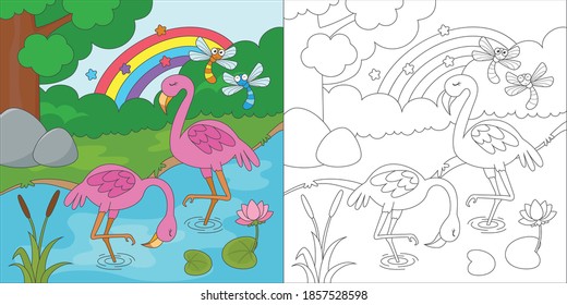 Flamingo colouring stock photos