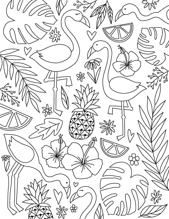 Tropical flamingo coloring pages instant download