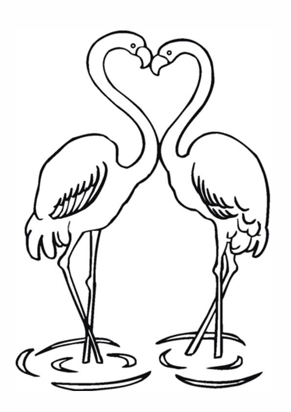 Coloring pages free printable coloring pages of flamingos