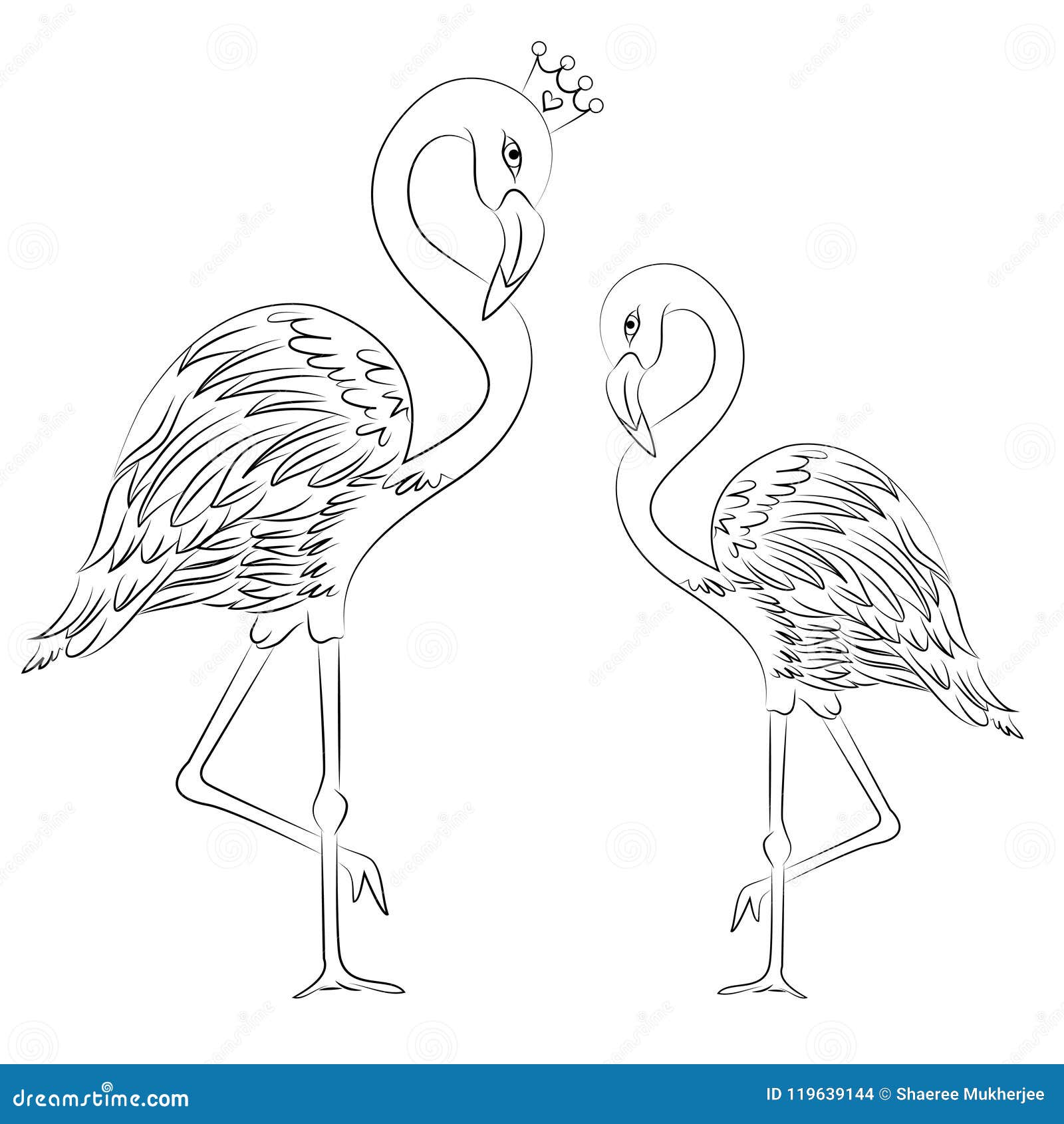 Vector illustration flamingos coloring page stock illustration