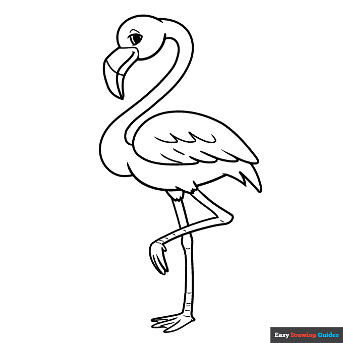Cartoon flamingo coloring page easy drawing guides