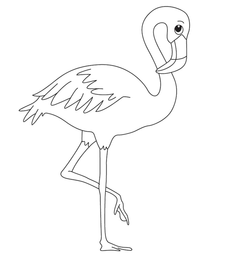 Top flamingo coloring pages for toddlers