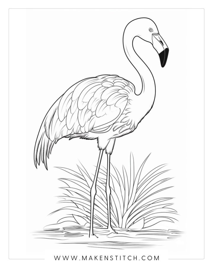 Free flamingo coloring pages for kids and adults