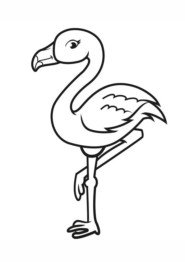 Coloring pages printable coloring pages of flamingos
