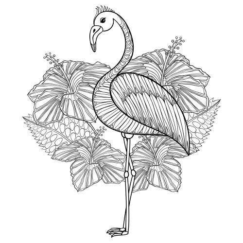 Flamingo free adult coloring page
