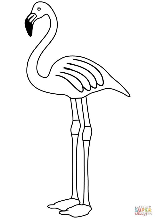 Flamingo coloring pages flamingo coloring page free printable coloring pages