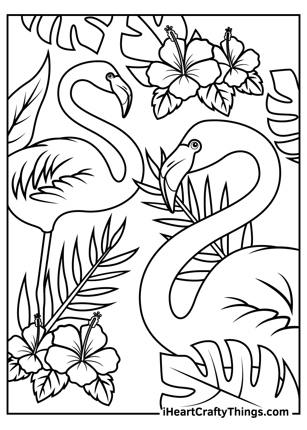 Flamingos coloring pages free printables