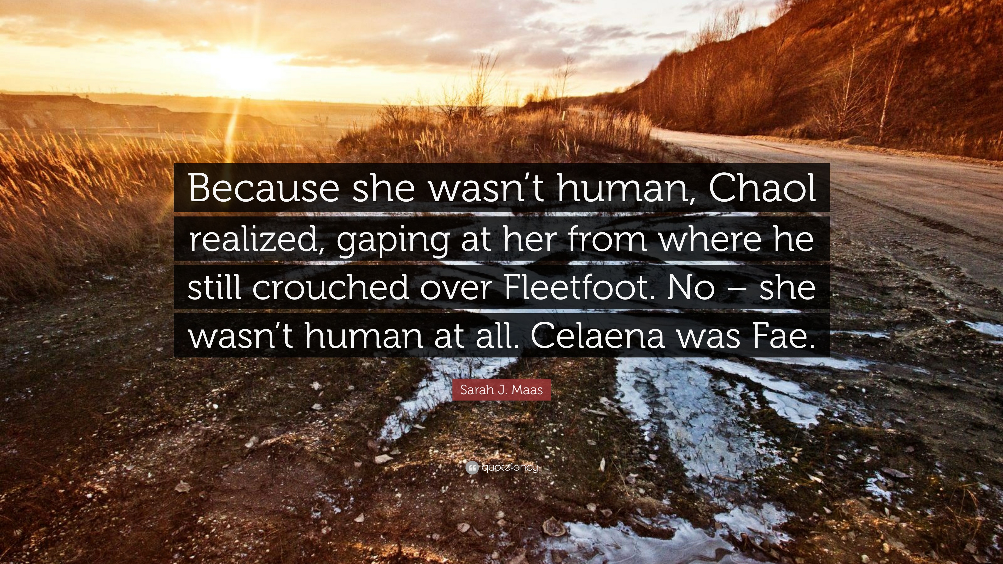 Sarah j maas quote âbecause she wasnt human chaol realized gaping at her from where he still crouched over fleetfoot no â she wasnt humâ