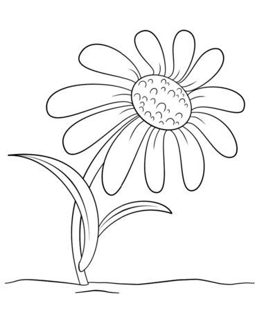 Dibujo de flor de la margarita de dibujos animados para colorear dibujos para colorear imprimir gratis