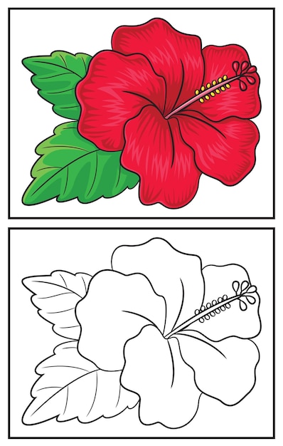 Premium vector coloring book cute hibiscus coloring page and colorful clipart character