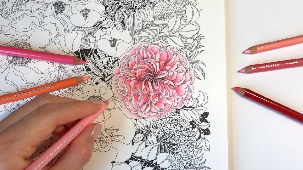 Rose coloring rose garden